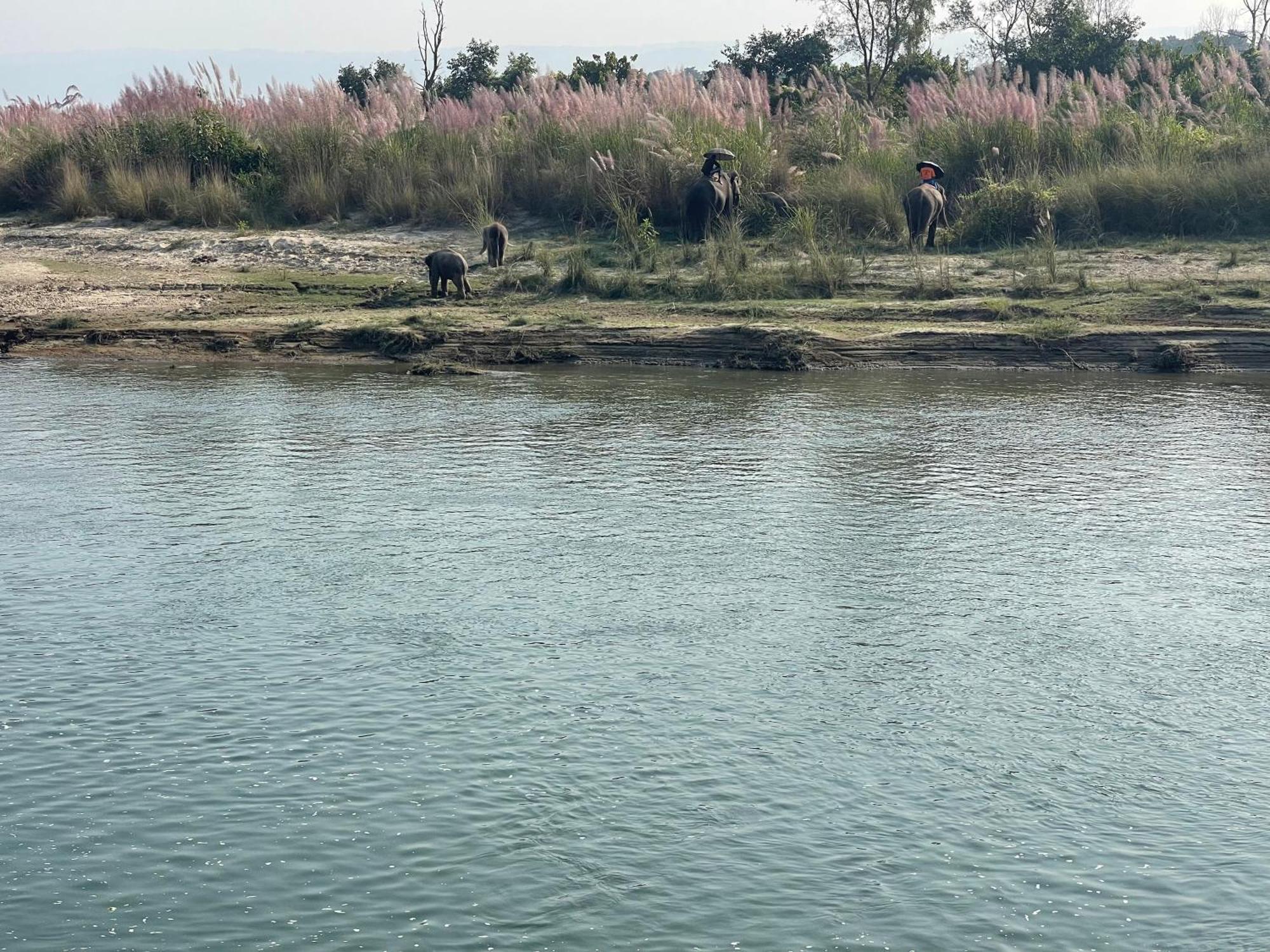 Chitwan Riverside Resort Sauraha Dış mekan fotoğraf