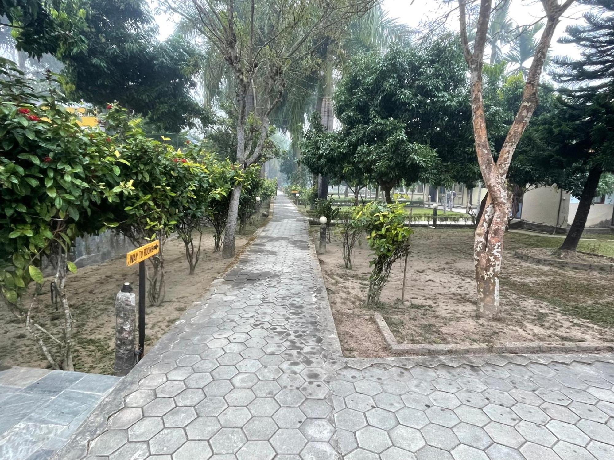 Chitwan Riverside Resort Sauraha Dış mekan fotoğraf