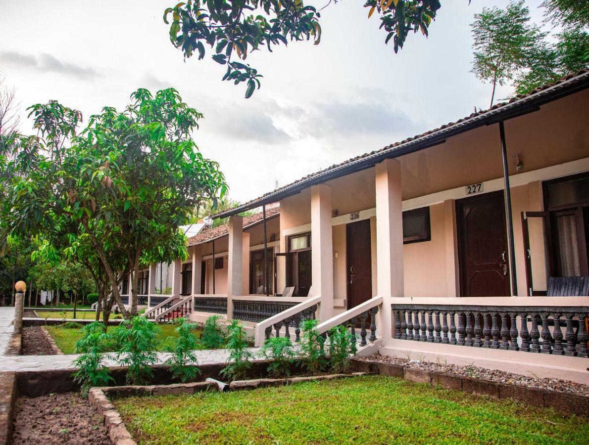 Chitwan Riverside Resort Sauraha Dış mekan fotoğraf