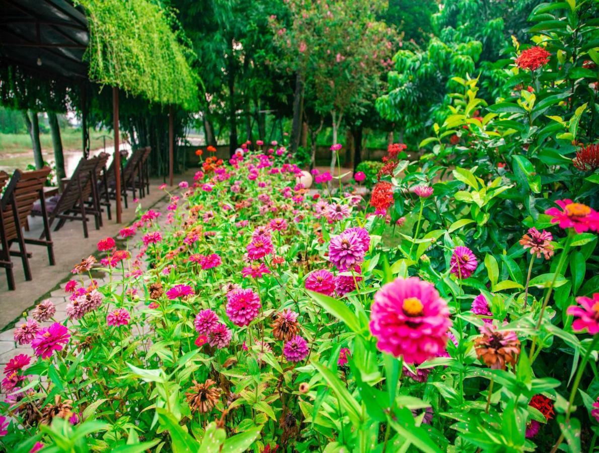 Chitwan Riverside Resort Sauraha Dış mekan fotoğraf