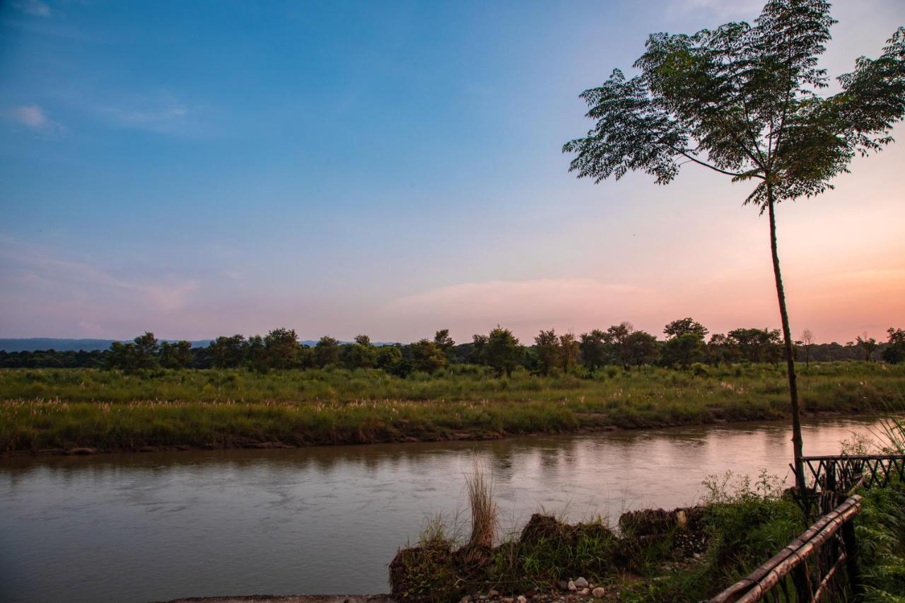 Chitwan Riverside Resort Sauraha Dış mekan fotoğraf